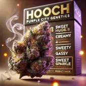 Hooch