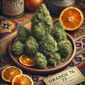Orange 76
