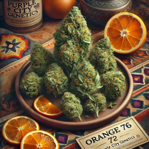 Orange 76
