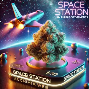 Space Station