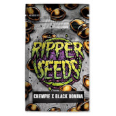 Chempie x Black Domina