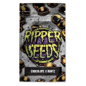 Chocolope x runtz