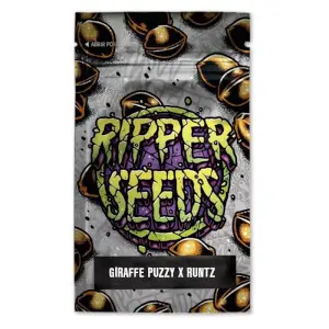 Giraffe Puzzy x Runtz