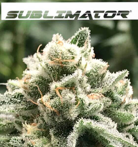 Sublimator
