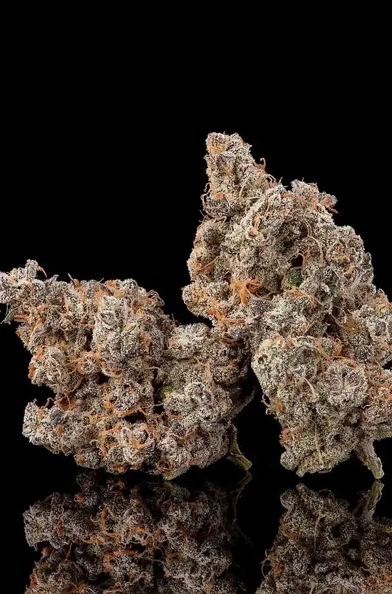 Ice Pie