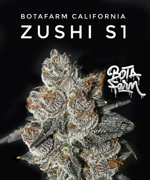 Zushi S1