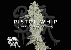 Pistol Whip