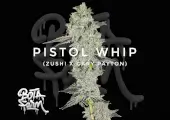 Pistol Whip