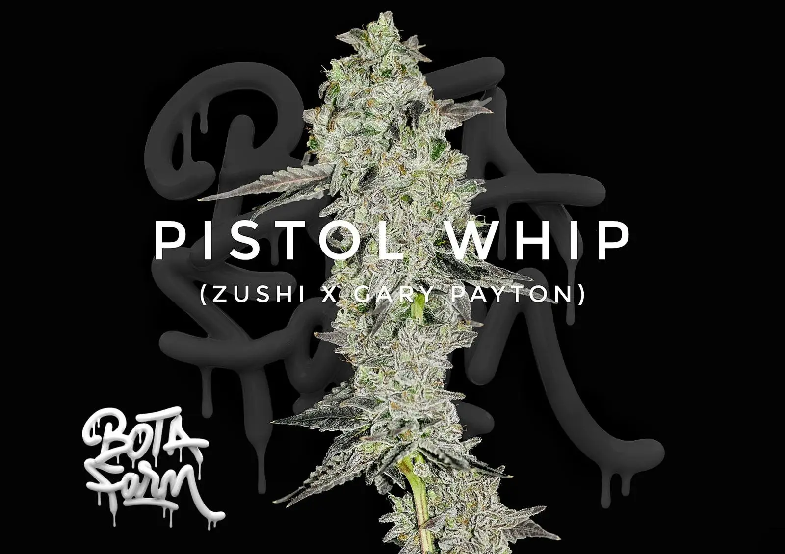 Pistol Whip