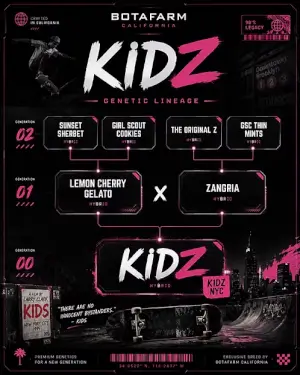 Kidz