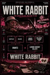 White Rabbit