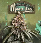 Mona Lisa