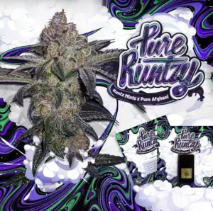 Pure Runtzy