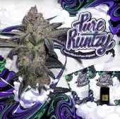 Pure Runtzy