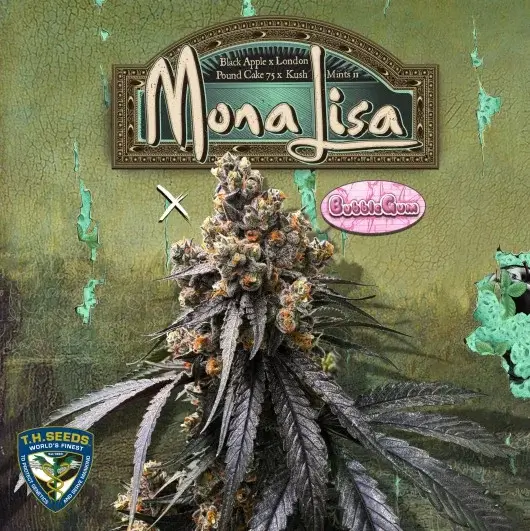 Mona Lisa X Original Bubblegum