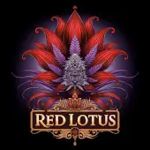 Red Lotus
