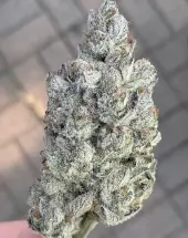 Marshmallow OG