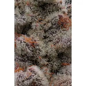 El Valle Haze