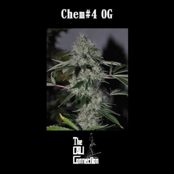 Chem 4 OG