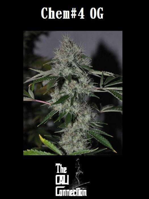 Chem #4 OG