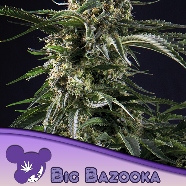 Big Bazooka