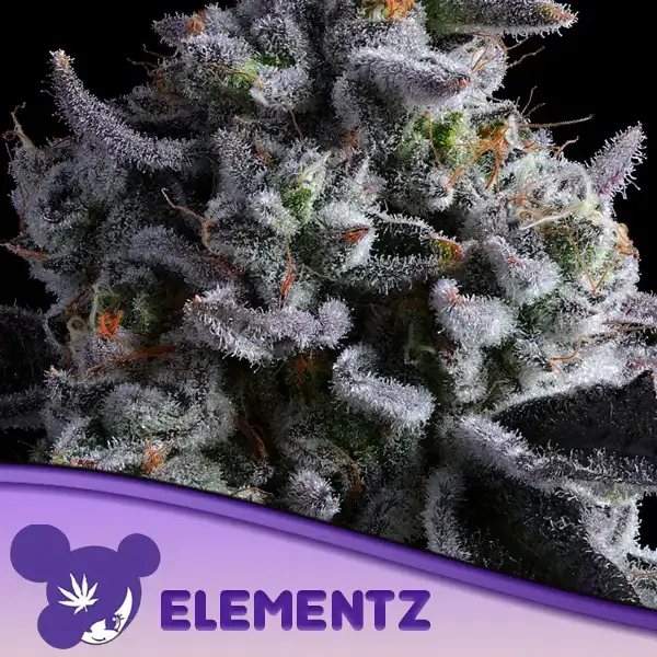 Elementz