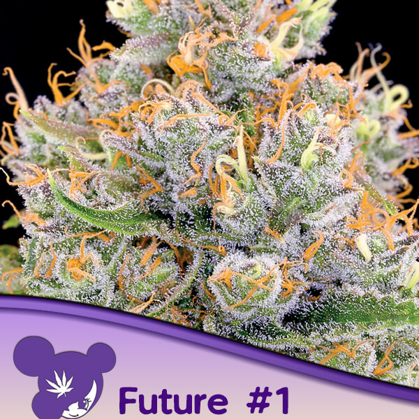 Future #1