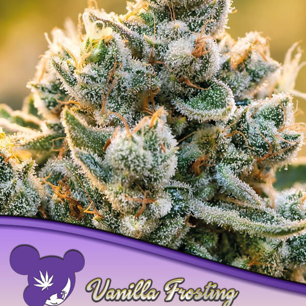 Vanilla Frosting