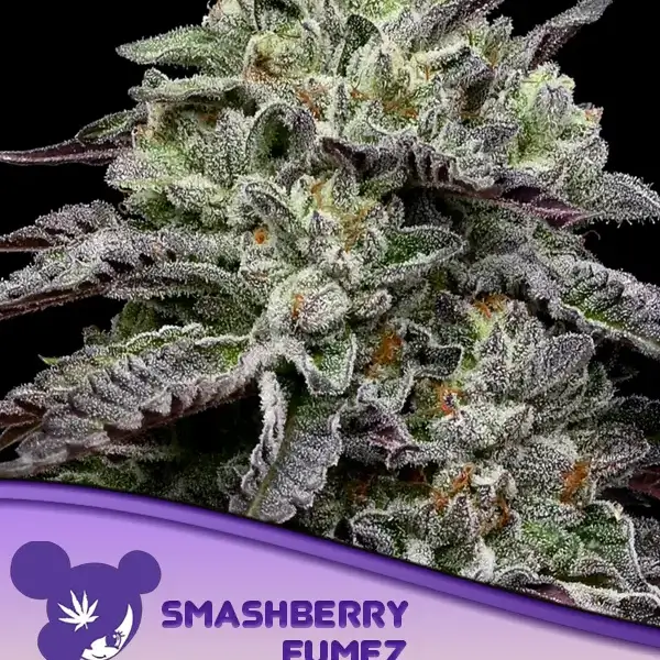 Smashberry Fumez