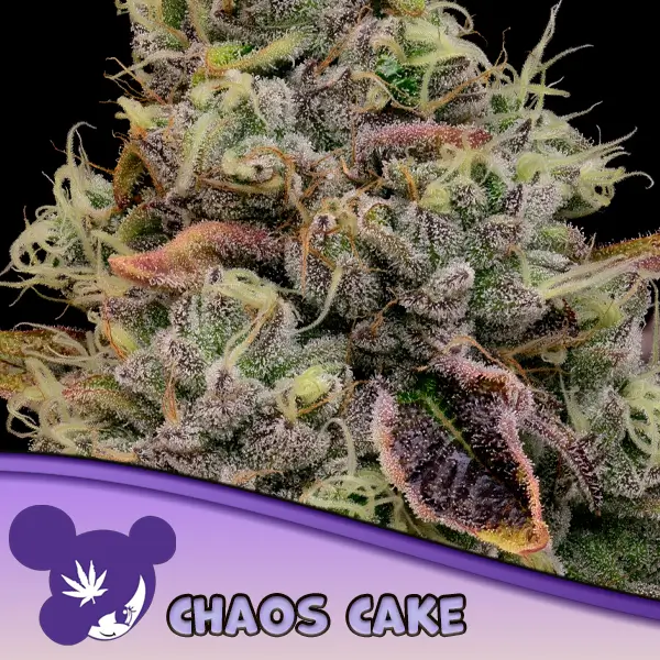 Chaos Cake