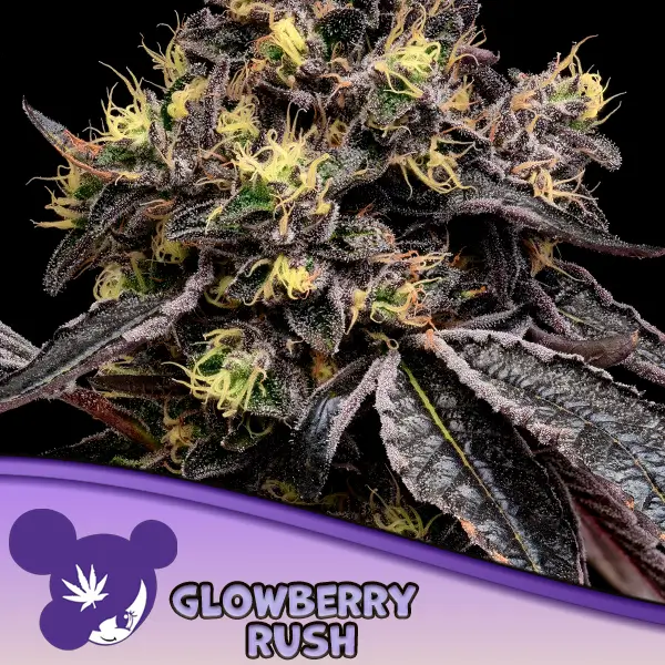Glowberry Rush