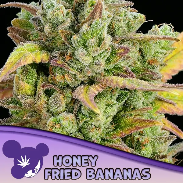 Honey Fried Bananas