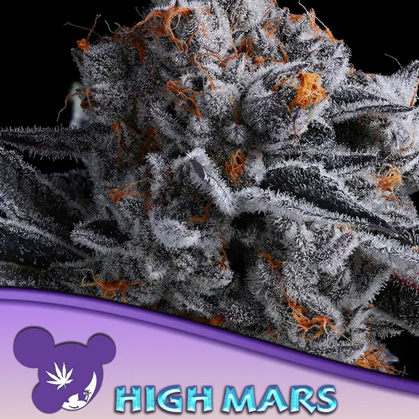 High Mars