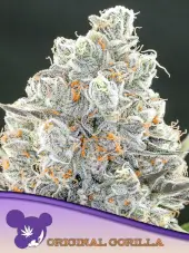Original Gorilla #4
