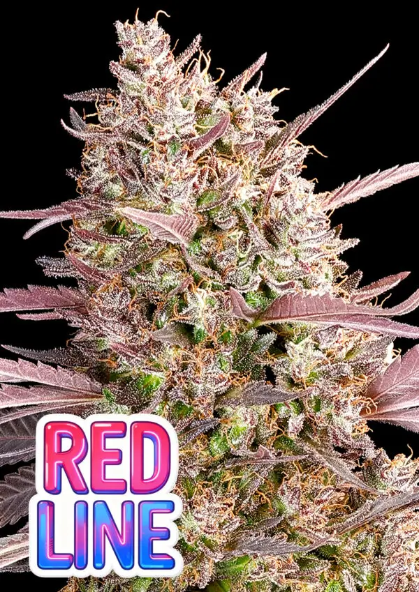 Red Line
