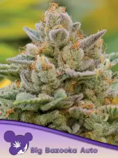 Big Bazooka Auto