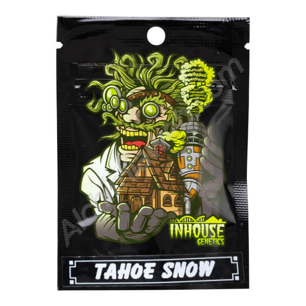 Tahoe Snow