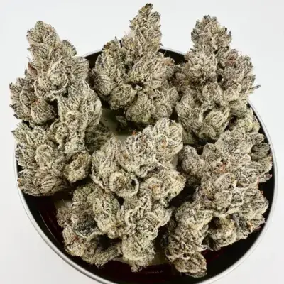 Lazeralus