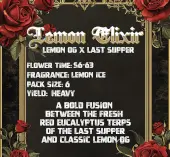 Lemon Elixir