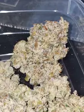 Pink Pie