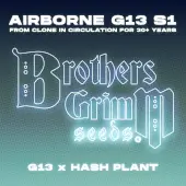 Airborne G13 S1