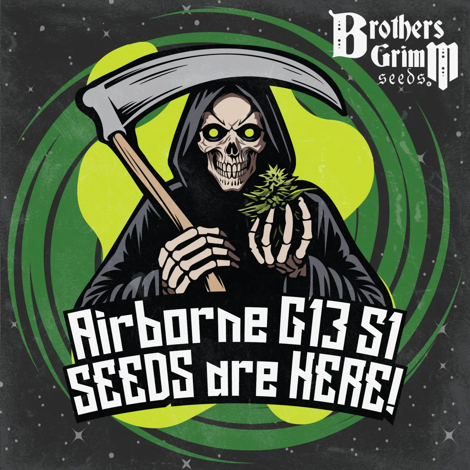 Airborne G13 S1