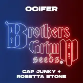 Ocifer