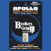 Apollo