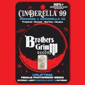 Cinderella 99