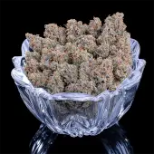Cinderella Pineapple