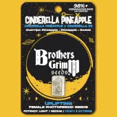 Cinderella Pineapple
