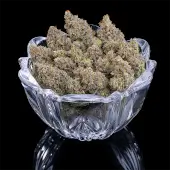 Princess Haze