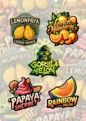 Mix Pack Fem
