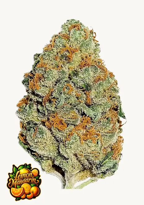 Lemon Mandarin